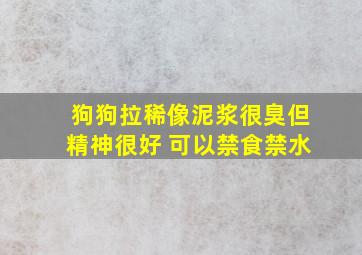 狗狗拉稀像泥浆很臭但精神很好 可以禁食禁水